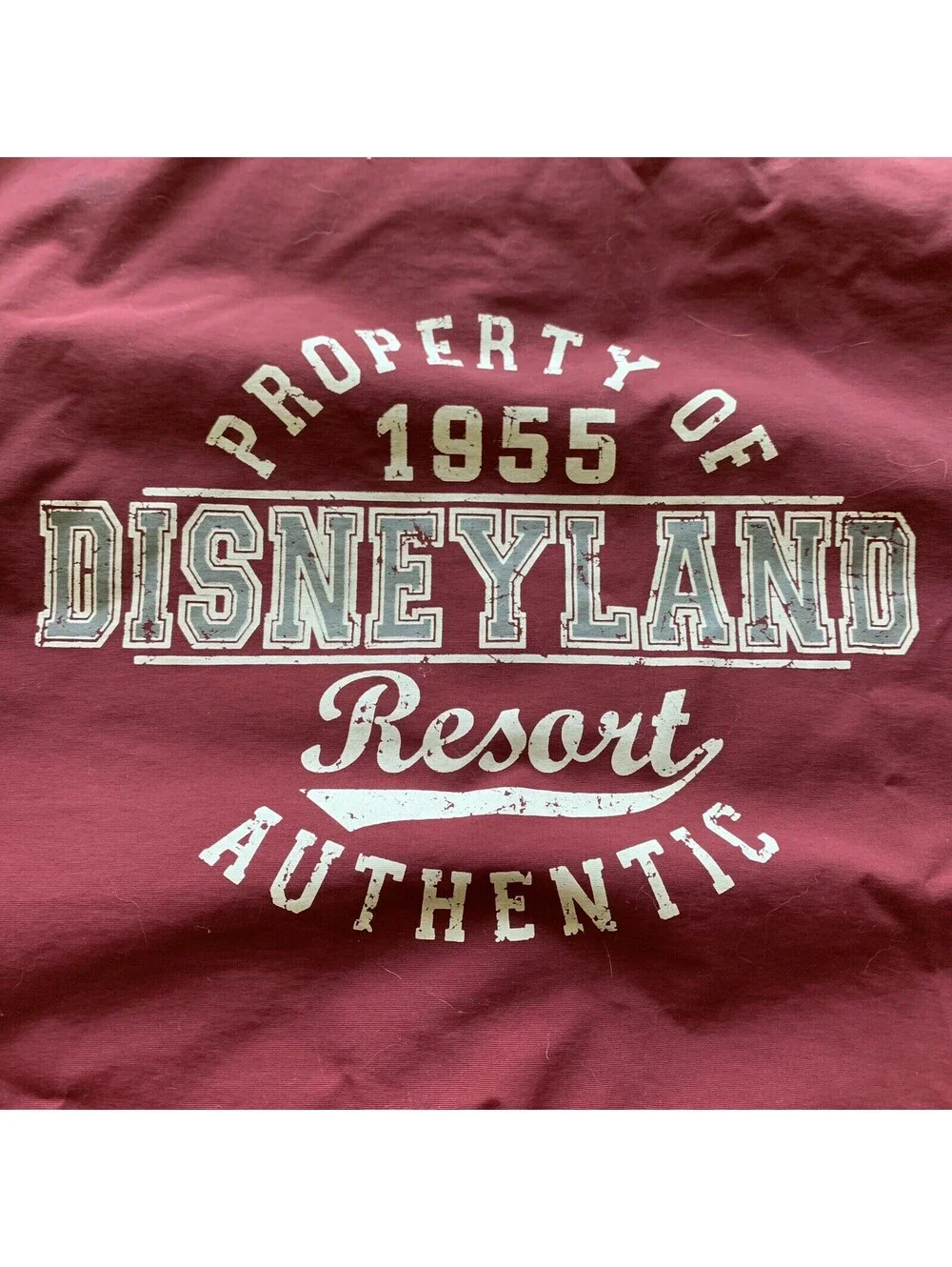 N/A disney parks